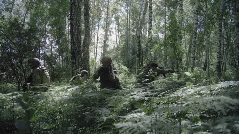 Armed soldiers with weapons, in an ambush in dense forest on special operation Stock Footage 327351434