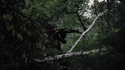 An armed special forces soldier with a rifle, in a dense deciduous forest Stock Footage 327350478