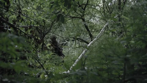 An armed special forces soldier with sniper rifle in dense forest Stock Footage 327350494