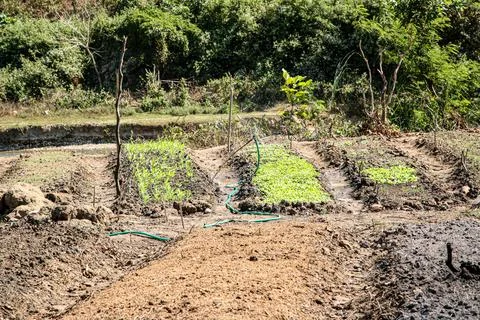 Armer Group Invests in Learning Organic Fertilizer Production Stock Photos