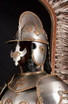 Armour Stock Photos