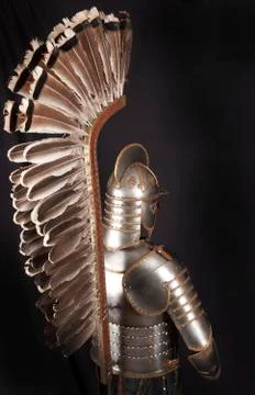 Armour Stock Photos