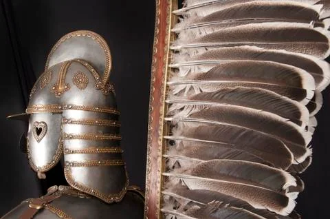 Armour Stock Photos