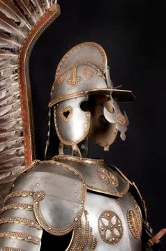 Armour Stock Photos