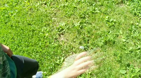 Arms Stock Footage 458230