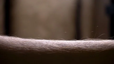 Arms hairs standing up after some emotional moment Stock Footage 119167640