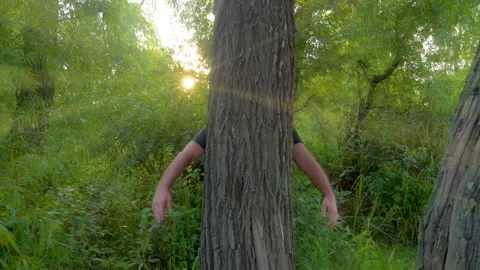 Arms Hugging a Tree In Forest, Love and Care for Nature &amp; Environment of Earth. Vídeo Stock 154367020