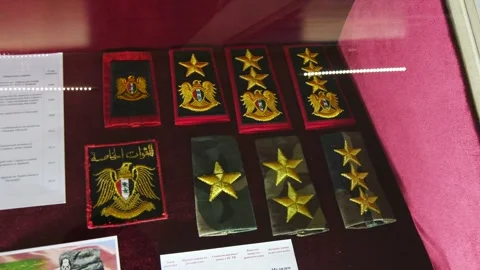 Arms of the Soviet Union. Stock Footage 317183503