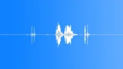Army and avia radio codes. code green Sound Effect