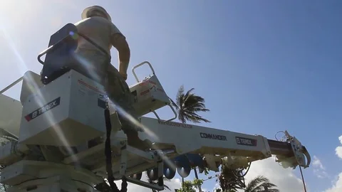 Army corps of engineers clear trees from a path to work on power lines - 2017 Stock Footage 85304131