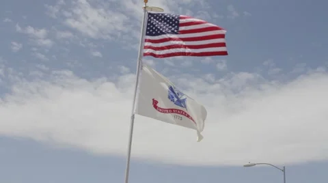 Army Flag Stock-Footage 47776698