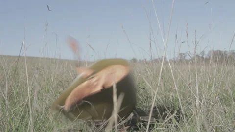 Army helmet falling to the ground during the day Stock Footage 252255314