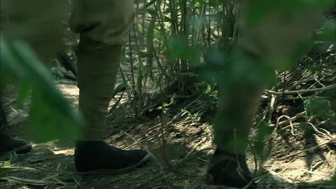 Army marching down the road Stock Footage 235280063