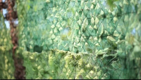 Army masking net Stock Footage 7754635