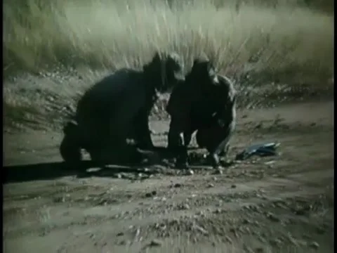 Army men hiding AT mine in field Stock Footage 260258131