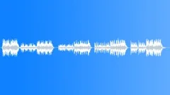 Army snare drumroll (reverb)Sound Effect