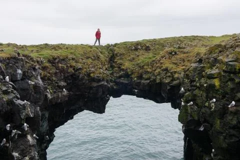 Arnarstapi basalt rock arch formation, Iceland Stock Photos
