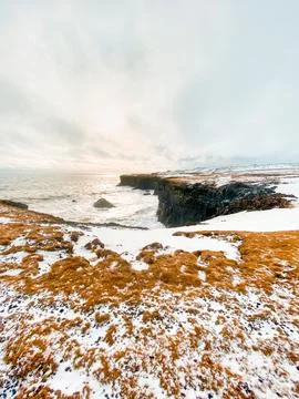 Arnarstapi Cliff in Iceland Stock Photos