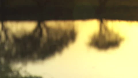 Arnhem Land Billabong Sunset Reflection Stock Footage 155823161