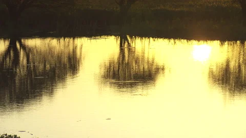 Arnhem Land Billabong Sunset Reflection, Pan Stock Footage 155823364