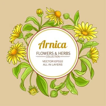 Arnica vector frame Stock Illustration