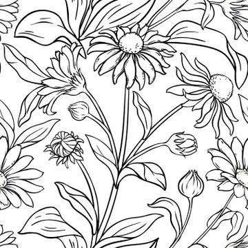 Arnica vector pattern Stock Illustration
