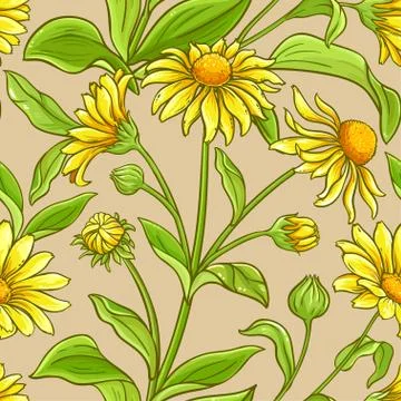 Arnica vector pattern Stock Illustration