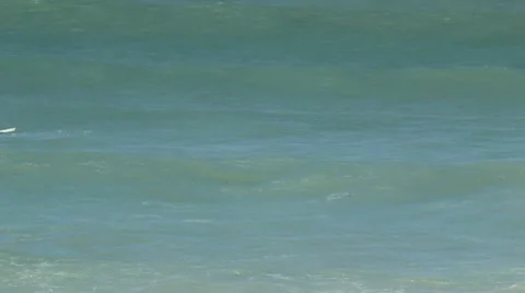 Arniston Bay Surfers Stock Footage 10760199