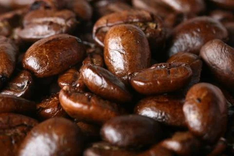 Aroma bean Stock Photos