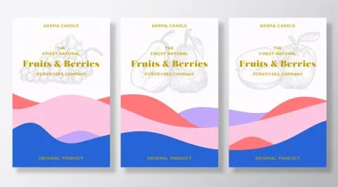 Aroma candle vector labels template bundle. Fruits and berries scent from local 스톡 일러스트