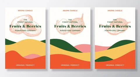 Aroma Candle Vector Labels Template Set. Exotic Fruits Scent Local Purveyors Stock Illustration