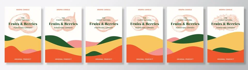 Aroma Candle Vector Labels Template Big Set. Exotic Fruits Scent Local Purveyors Stock Illustration