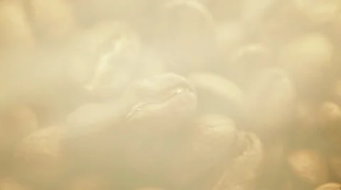 Aroma of coffee grains 스톡 동영상 11149268