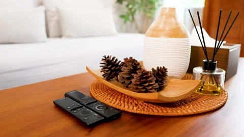 Aroma Diffuser and Pine Cones on a Modern Living Room Coffee Table Stock Footage 331972405