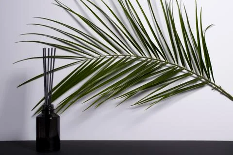 Aroma diffuser and Serenoa on the table Stock Photos