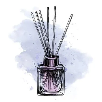 Aroma diffuser square glass jar with sticks. Hand drawn illustration, graphic Illustrazione stock