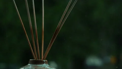 Aroma reed diffuser Heavy rain pouring shower in summer. Green trees on Stock Footage 225431837