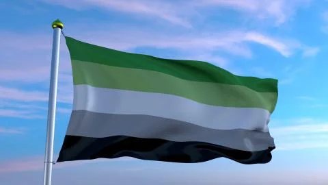 Aromantic flag Illustrazione stock