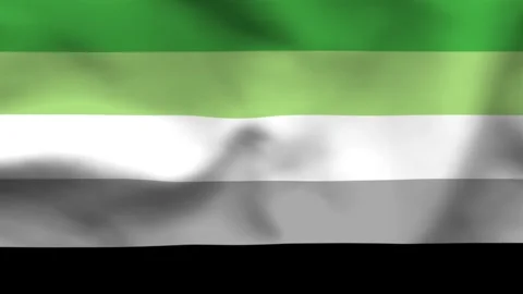 Aromantic Pride Flag Fabric Texture Background Stock Footage 336182686