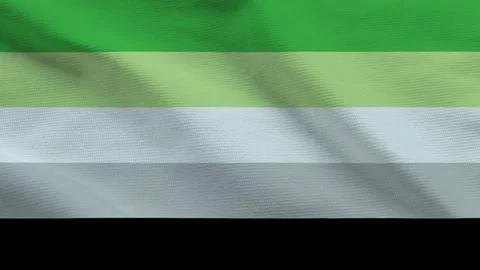 Aromantic Pride Flag Fabric Texture Background Stockillustratie