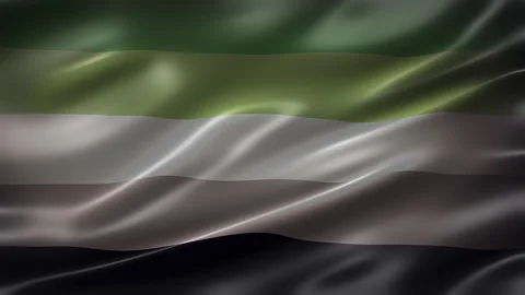 Aromantic Pride Flag, font view, full frame, glossy, fluttering, elegant Stock Footage 265166057