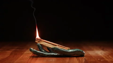 Aromatherapy, burning incense stick close-up. Indian aroma sticks. Meditation Stock Footage 195723349