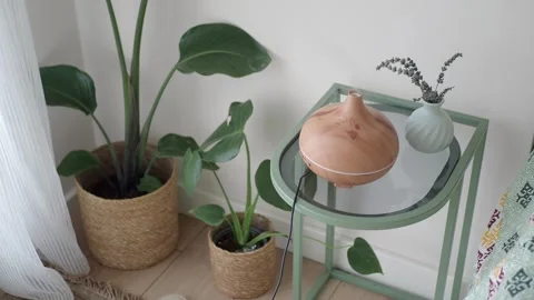 Aromatherapy diffuser and plants in a cozy corner Stock Footage 333943971