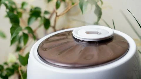 Aromatherapy diffuser emits soothing mist in a cozy indoor setting with gre.. Stock Photos