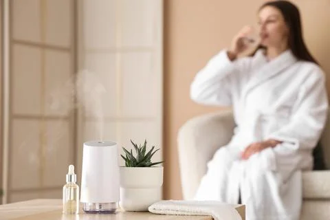 Aromatherapy diffuser with essential oil and succulent plant on a table, woma Stock Photos