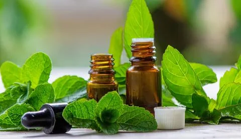 Aromatherapy essential oils with mint leaves and dropper Stock Photos