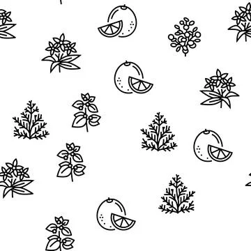 Aromatherapy Herbs Vector Seamless Pattern Illustrazione stock