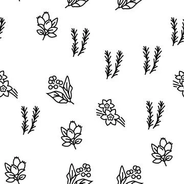 Aromatherapy Herbs Vector Seamless Pattern Stock Illustration