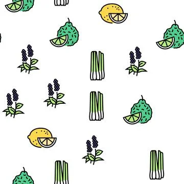 Aromatherapy Herbs Vector Seamless Pattern Stock Illustration