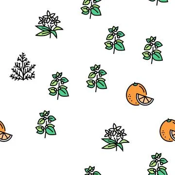 Aromatherapy Herbs Vector Seamless Pattern Stock Illustration